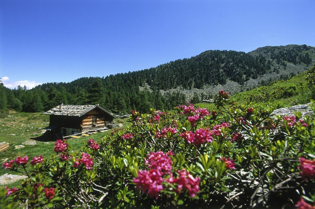 Residence Feldhof Castelbello Exterior foto